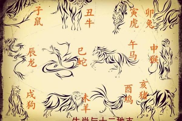 风水学入门必看十二生肖