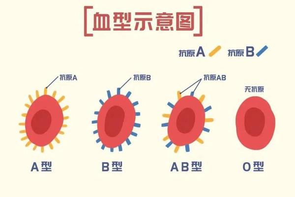 a血型男容易被b女吃定 A型血最容易爱O还是B