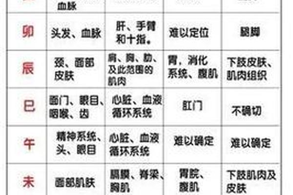 天干地支 看身体—天干地支对应身体部位口诀