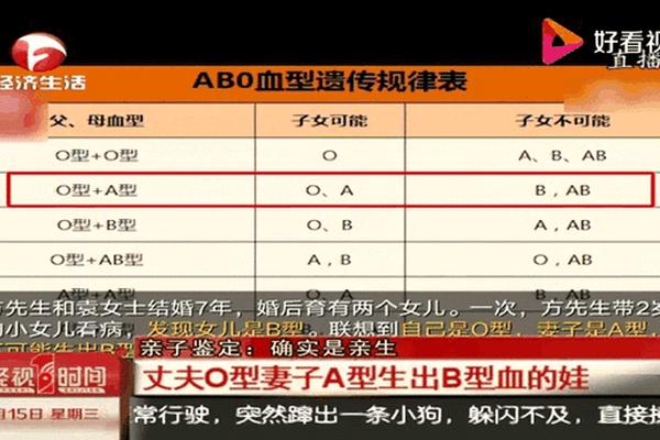 丈夫a血型妻子b血型,丈夫a型血妻子ab型孩子是什么血型