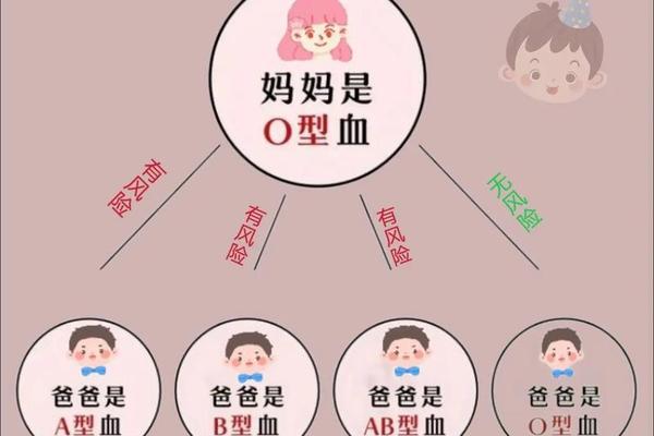 爸血型o 妈血型a—爸的血型是A型妈的血型0型