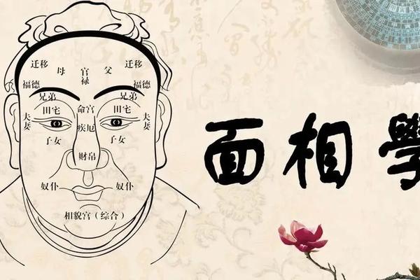 风水学入门面相好不好呢