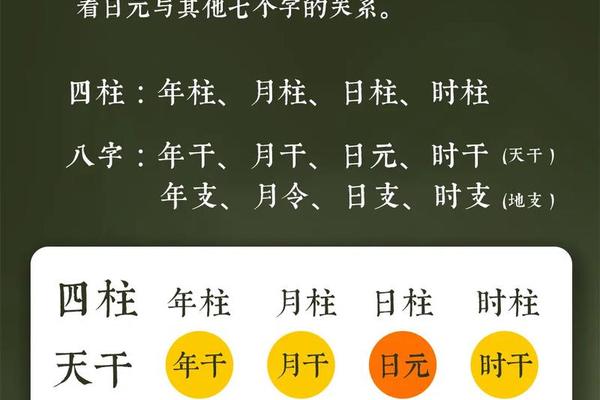 天干地支中性弱_八字看性功能强弱的方法