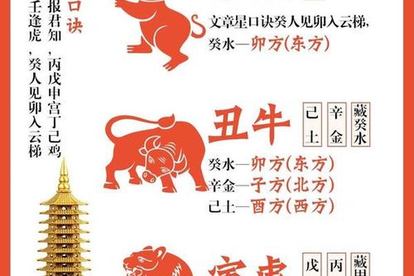 天干地支有子鼠 子鼠子代表什么