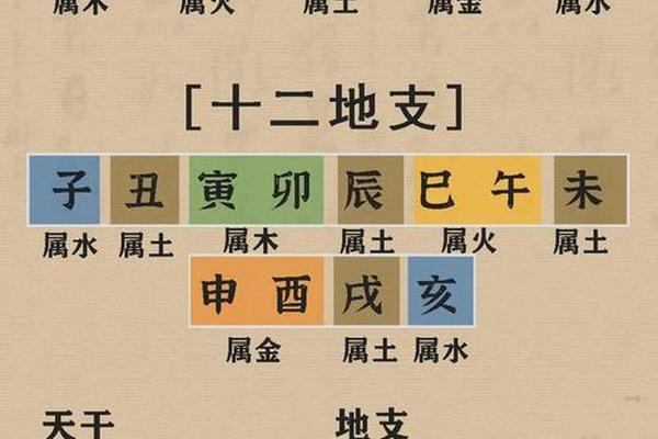 天干地支关系贴图、天干地支图解