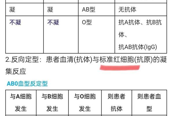 验血型a阳性,A血型阳性