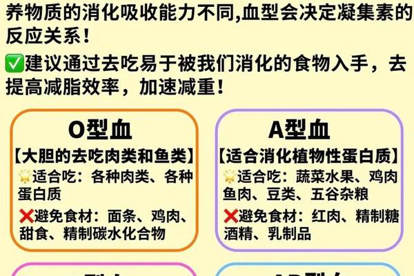 A血型长不胖_A型血是天才的血型
