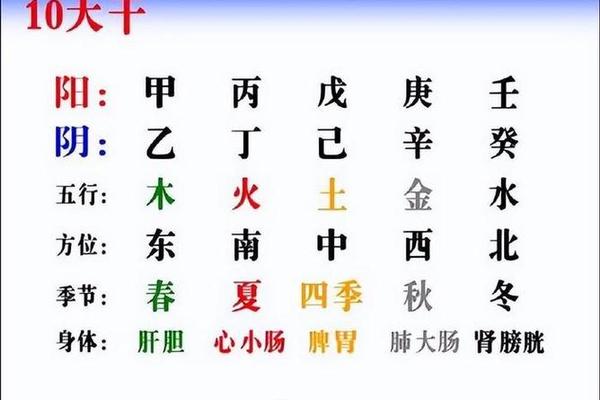 天干地支是辛辰(地支辛代表什么)