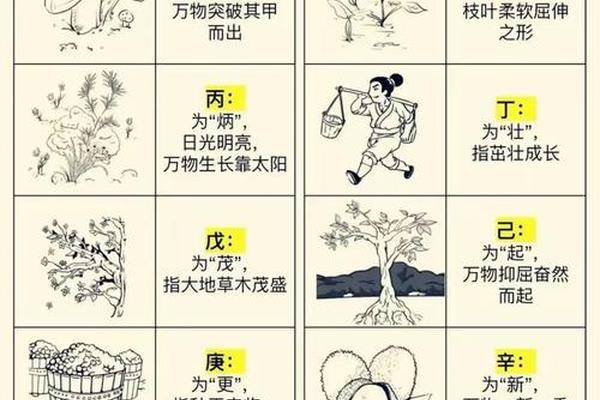 2022芒种天干地支、2022年天干地支什么年