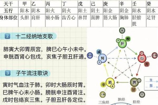 天干地支地球—天干地支五脏六腑