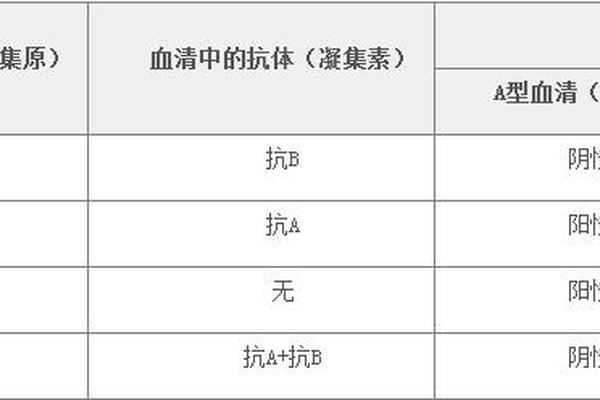血型测定A凝集为A A型血清与什么血型凝集 血型测定A凝集为A A型血清与什么血型凝集