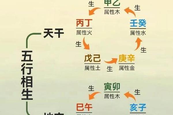 天干地支与人运气 十天干与十二地支