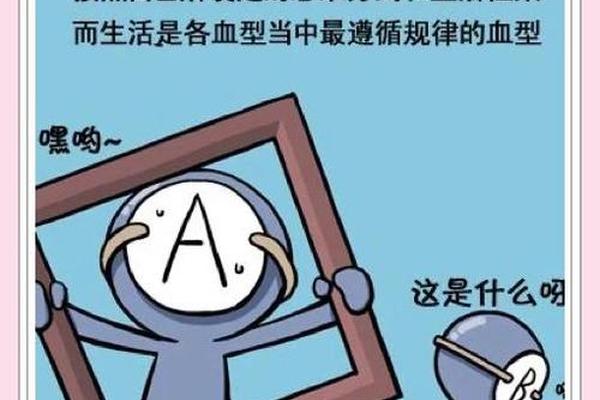 嫁给a血型男人 A型血为什么叫贵族血
