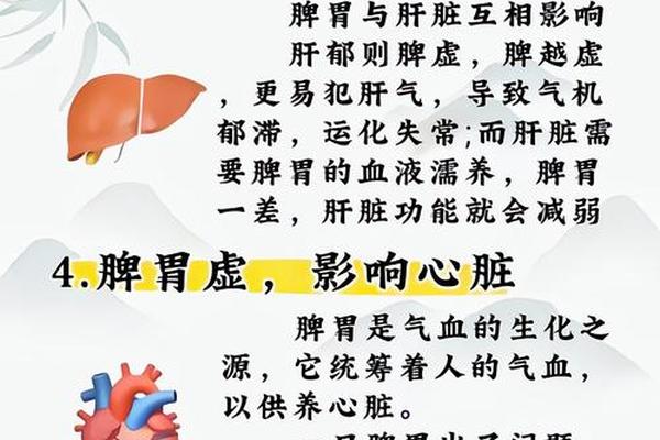 脾代表什么天干地支-脾属于五行中的什么