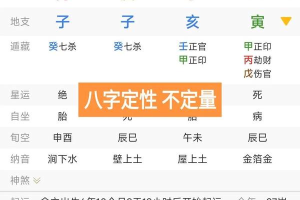 丁亥月的天干地支(丁亥月详解)