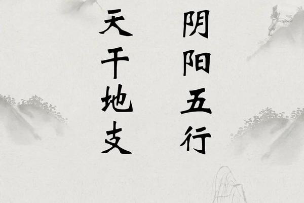 药材天干地支—中药材的五行属性