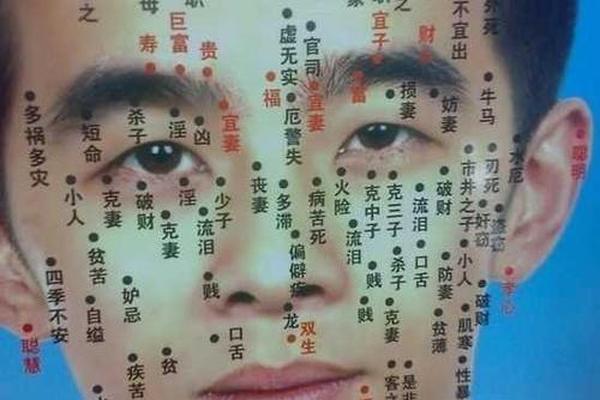 天干地支看痣(男人龙痣十大横财)