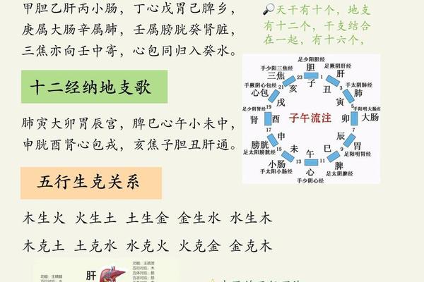 戊戌天干地支作用,大运天干地支作用原则