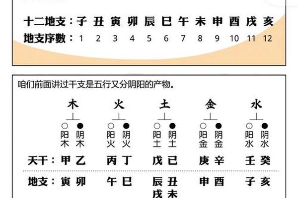 1991年天干地支-1991年生辰八字