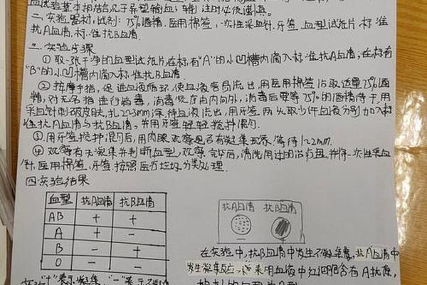 a血型鉴定实验分析(o型血的实验结果分析)