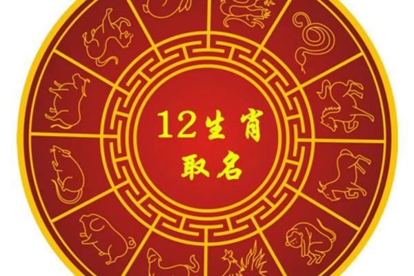 2019猪年是天干地支—猪年天干地支