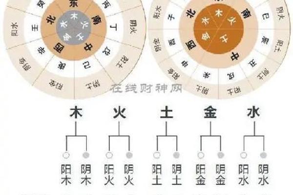 在线查天干地支(查天干地支的软件)