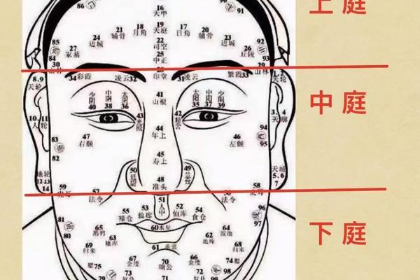 面相风水学入门