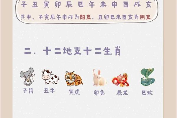 天干地支代表数字对应 天干地支十二生肖表