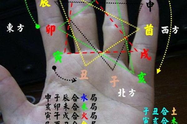 掌排天干地支,天干地支掌上推算年月日