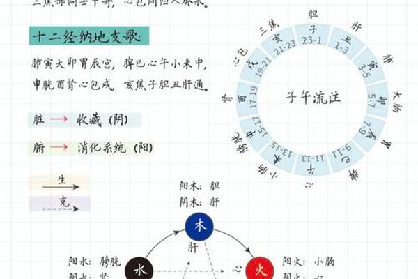 12经纳天干地支(十二经纳天干歌什么意思)
