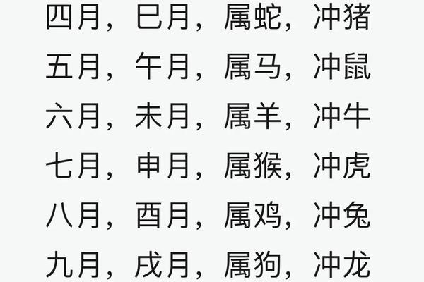 鼠年是鼠年天干地支;农历鼠年的年份