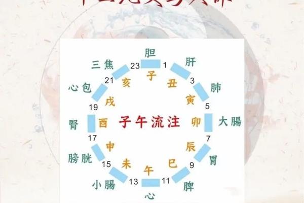 十二经络与天干地支、十二地支对应的经络