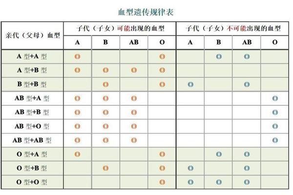 老婆a老公b血型-B型血为什么叫贵族血