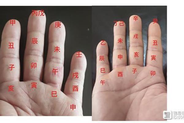 天干地支手账 天干地支手指图记忆法