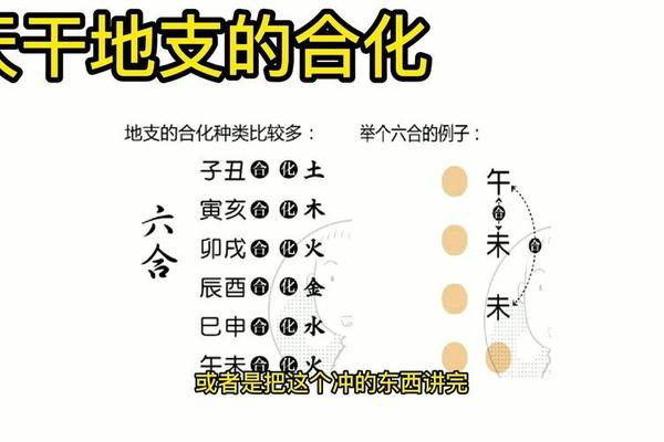 如何理解天干地支相合,天干相合代表什么