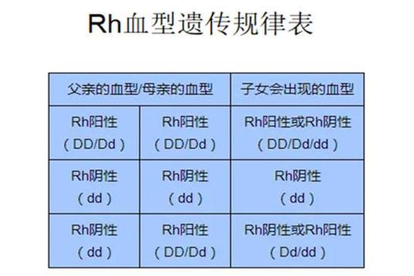 a型rh( )血型 熊猫血是什么血型