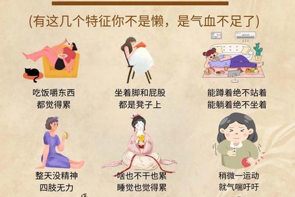 a血型易疲劳体质(易疲劳体质是什么原因)