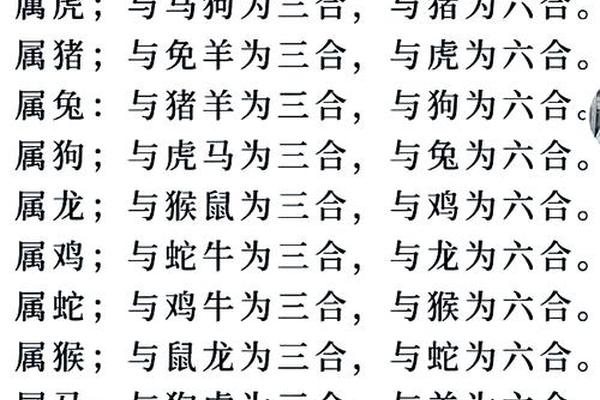 天干地支兔跟马合得来吗_马兔一窝必定富