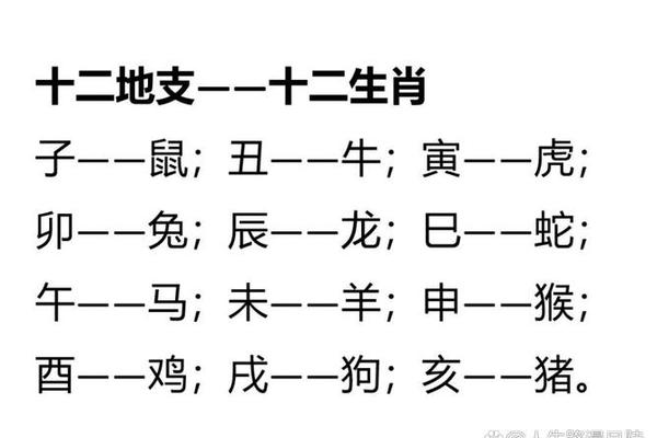 中华小子天干地支_12生肖天干地支图
