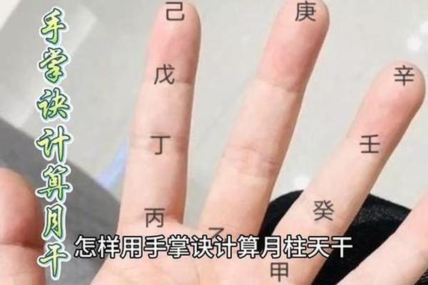 掐指算天干地支方法_天干地支最正确的算法