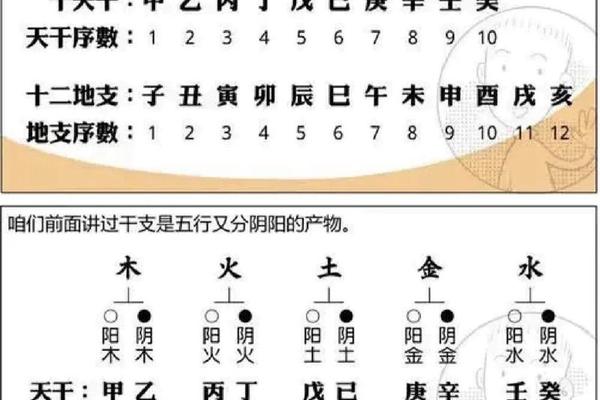 南怀瑾论天干地支;天干地支是谁发明的