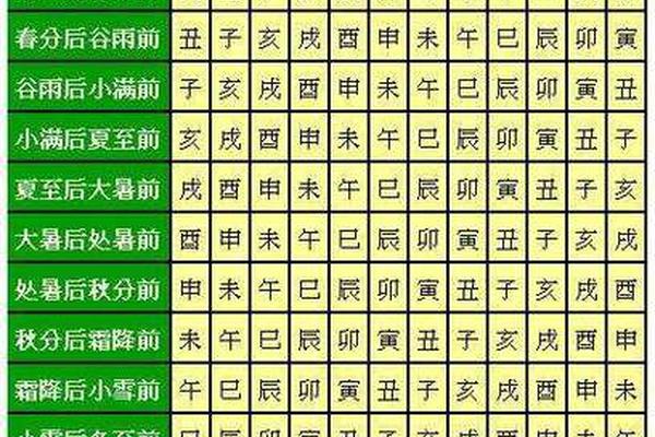 天干地支排运,大运走地支才是真大运吗