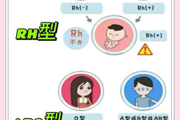 a型血血型恋爱;A型血的最佳配偶