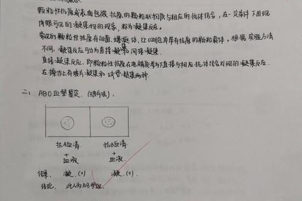 血型a抗体4 ABO血型鉴定凝集反应 血型a抗体4 ABO血型鉴定凝集反应