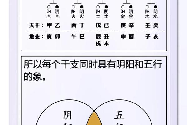 天干地支怎么转为五行 怎么看自己天干地支对应什么五行