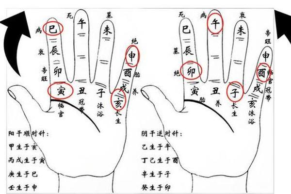 手掌快速推天干地支;掌诀图快速掐算日柱干支