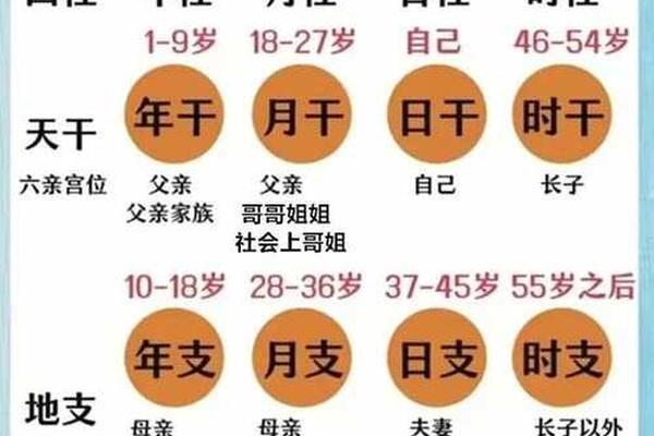 父母宫天干地支相克,父母宫在哪个位置八字