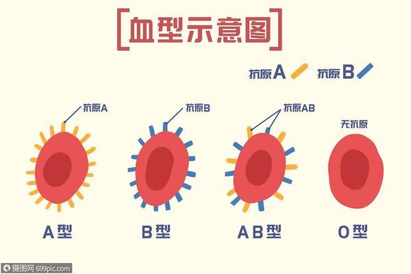 血型o和a的子女血型;abo型血是稀有血型吗 血型o和a的子女血型;abo型血是稀有血型吗