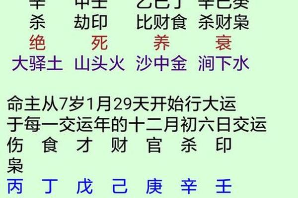 天干地支 伤官大运;大运天干地支哪个重要
