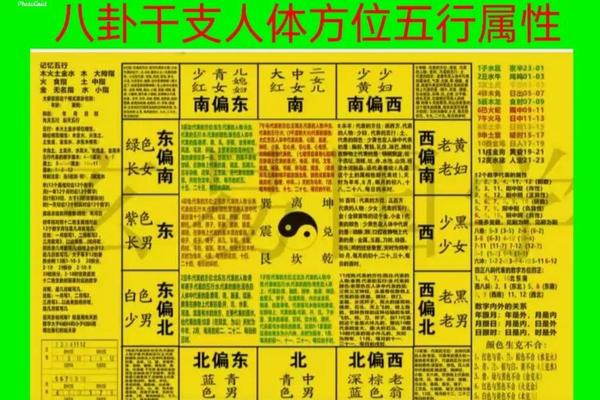 天干地支 八种体质,天干地支八卦方位图